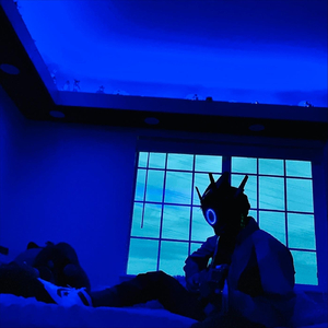 Laid Back Echoes