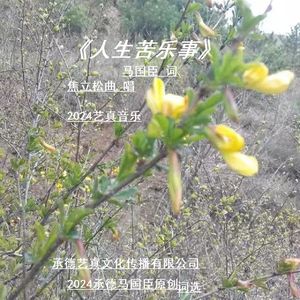 人生苦乐事