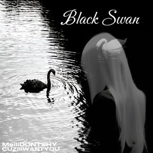 BlackSwan（我望着湖里面的黑天鹅在发呆）