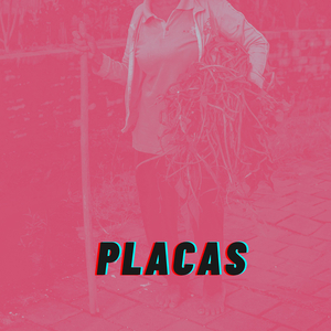 Placas