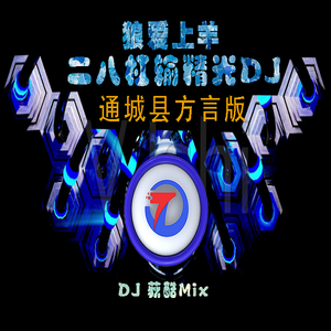通城县黑仔-狼爱上羊之二八杠输精光DJ-通城县方言版（DJ荻酷 remix）