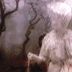Past The Veil