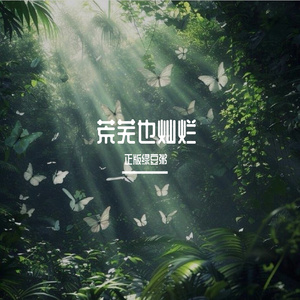 有去无回