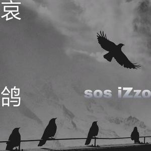 哀鸽