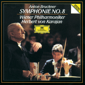 Symphony No.8 In C Minor - Ed. Haas:1. Allegro moderato