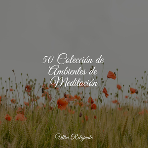 Dulces Interrogantes