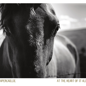 Nighean Dubh Nighean Donn