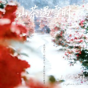 山茶遇雪时