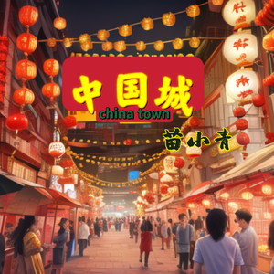 中国城（chinatown） 苗小青