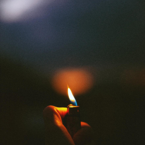 芭蕉河岸上的驯鹿群