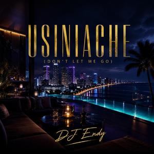USINIACHE (Don’t let me go)