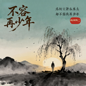 不容再少年