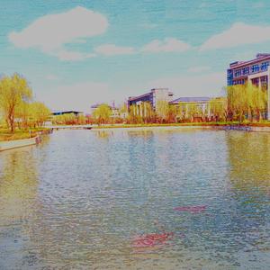 我是一条红锦鲤