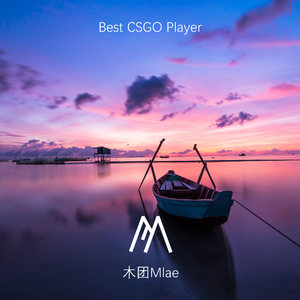 Best CSGO Player（prod.tired）
