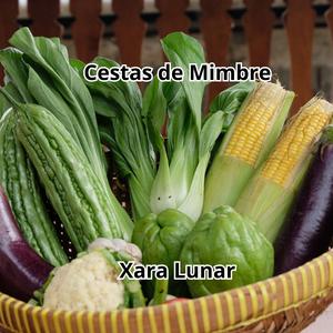 Cestas de Mimbre
