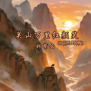 关山万里红颜笑 (Dj燃野版)