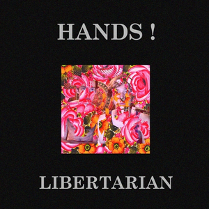 Libertarian