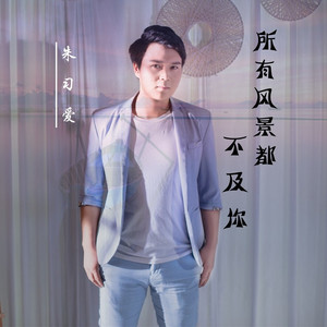 所有风景都不及你