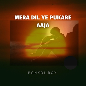 Mera Dil Ye Pukare Aaja (Remix)