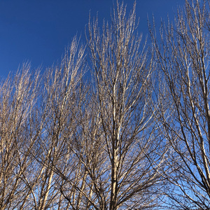 感谢你曾经来过