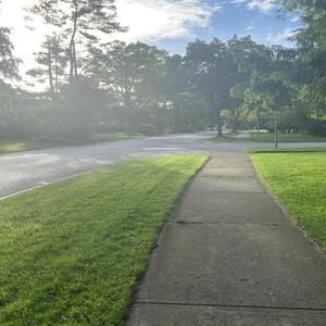 Fighting until I win