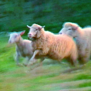 Our Lady of Pleasures