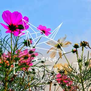 生日快乐（Cover 石头）