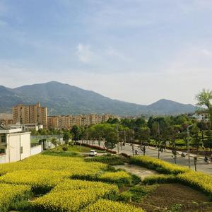 迷失自我方向