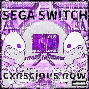 Sega Switch (SLOWMIX)