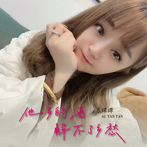 他乡的酒解不了乡愁 (伴奏)