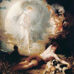 dead from the waist down