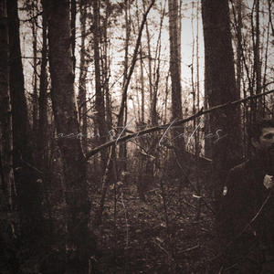 Prototypes / Replicas (Acoustic Version)