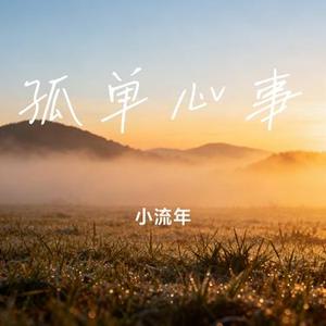 孤单心事 (小流年 Remix)