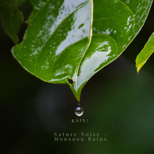 ASMR Early Season Rains