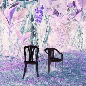 Lo que le Pasó a Hawaii (English Version)