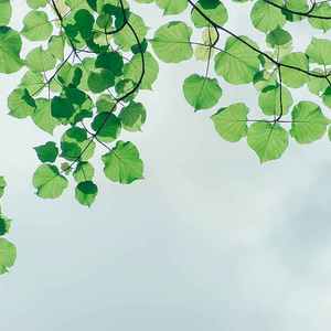 盛夏银河之夜（钢琴曲）