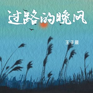过路的晚风
