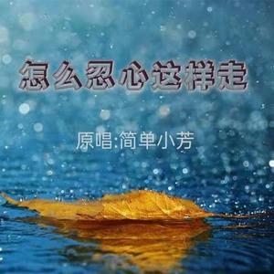 怎么忍心就这样 (伴奏)