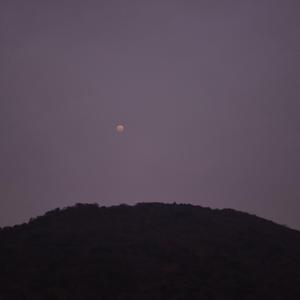 Click (feat. JIPT, Mapinn & chemito)