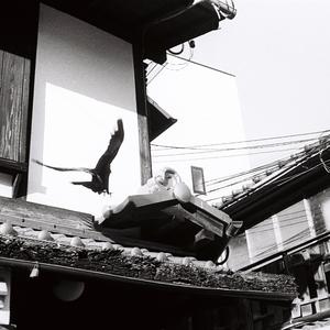 一番簡単な方法は何か。悪いことをした人を責めればいいのです。