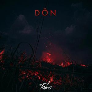 DÖN