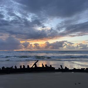 Spirit of Woolgoolga