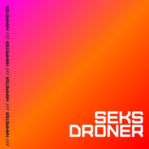 Seks Droner