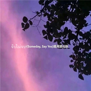 จีบไม่จบ (Someday, Say Yes)越南鼓dj版