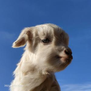 门外(Prod. PUNISHME)