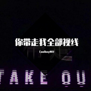 你带走我全部视线