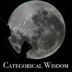 Categorical Wisdom