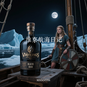 维京航海日记
