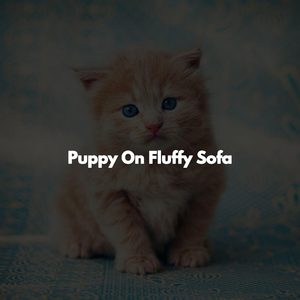 High-class Music for Positive Movements