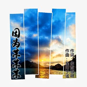 因为某某某(舞曲版)